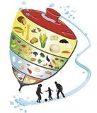 Dibujos de alimentos para colorear. Vision Pediatrica es...: De la Piramide al Plato y en ...