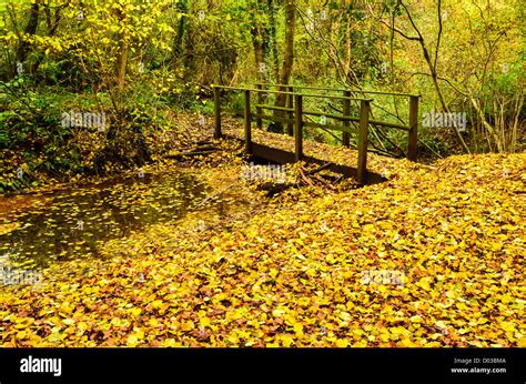 Footbridge Scenery Hi Res Stock Photography And Images Alamy