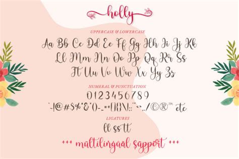 Holly Script Font Font With Tails Long Tail Font Cursive Etsy