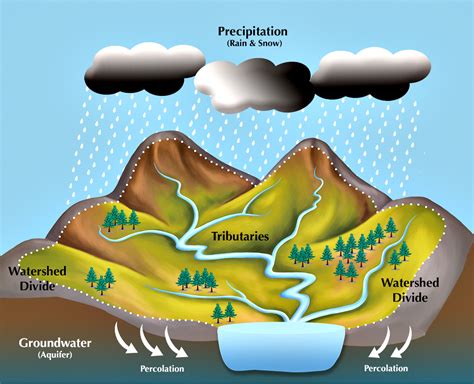 Water Drainage Basin