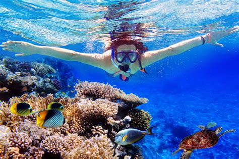 Lovina And Menjangan Snorkeling Bali Tour Wandernesia