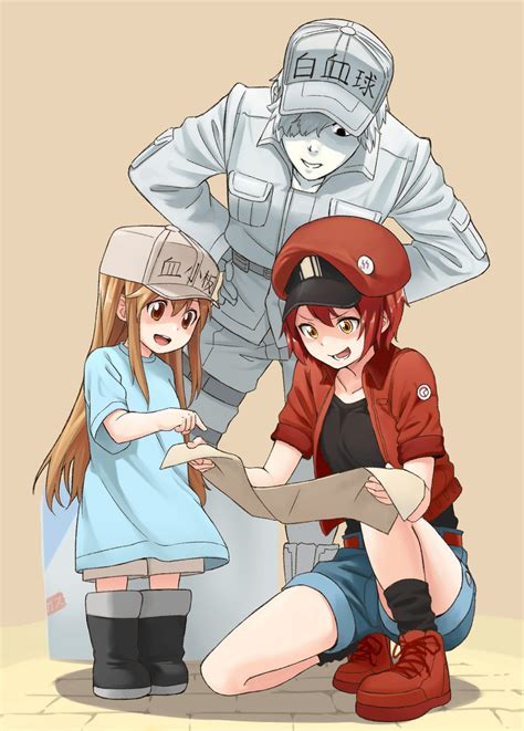 Platelet White Blood Cell Red Blood Cell Ae 3803 And U 1146