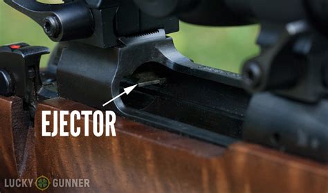 Meaning of bot in english. Controlled Feed vs. Push Feed Rifles - What's the Difference?