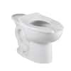 American Standard Madera Flowise In High Back Spud Elongated Flush Valve Toilet Bowl Only In