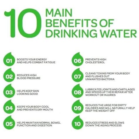 You Have Probably Heard About The Importance Of Drinking Water In