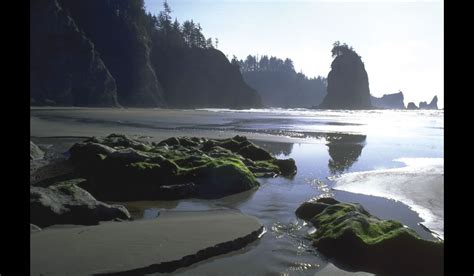 Olympic National Park One Of The Wildest Places Left In
