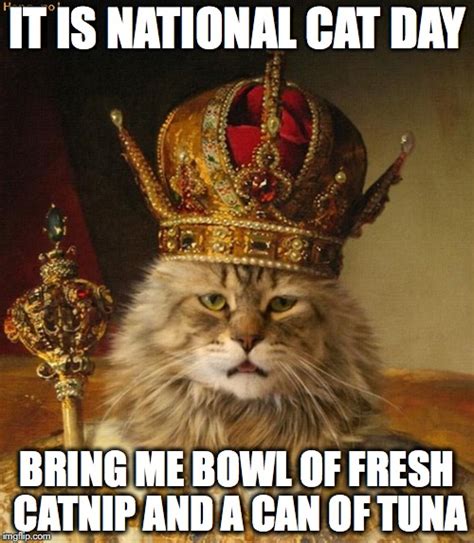 National Cat Day Memes Funny Minions Memes Kulturaupice