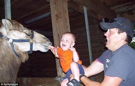 Funniest Dad Fails Revealed Daily Mail Online