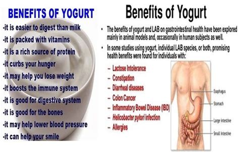 Do You Know The Health Benefits Of Yogurt Yogurt Health Benefits Yogurt Benefits Nuts