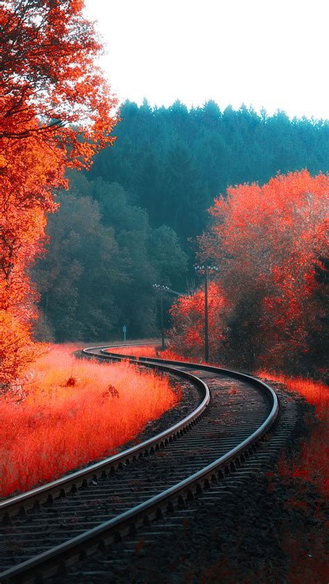 Autumn Forest Railroad Landscape Scenery