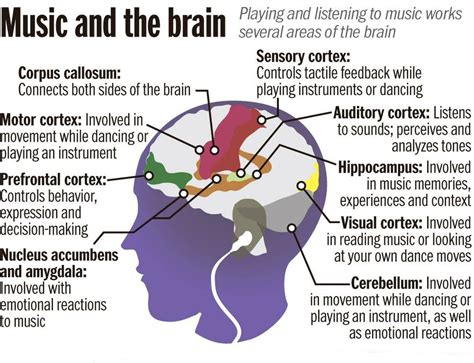 The Musical Brain — John Gull