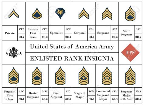 Ww2 Us Army Enlisted Rank Insignia