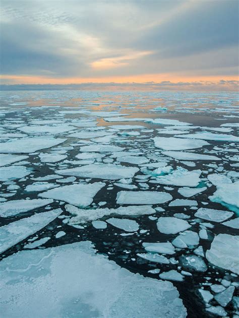 ¿verano Sin Hielo En El Ártico Infobae Stories