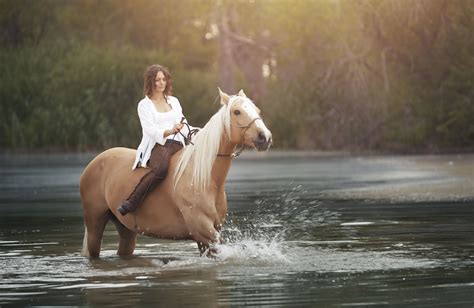 Side Pull Bridles For Horses Definition And Usage