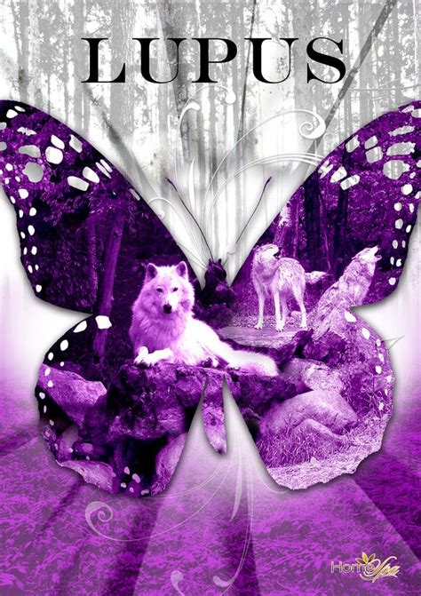 Wolf Butterfly Lupus Facts Lupus Awareness Lupus