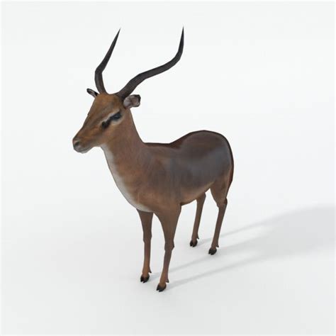 Antelope Free 3d Models Stl Stl Download Free3d