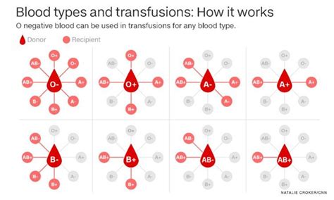 Why Do We Have Different Blood Types — And Do They Make Us