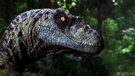 Top 10 Facts About Velociraptors You Didnt Know Jurassic World Dinosaurs Jurassic Park World