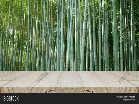 Bamboo Forest Image And Photo Free Trial Bigstock