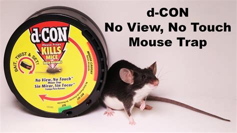 Different Types Of Mouse Traps Seedsyonseiackr