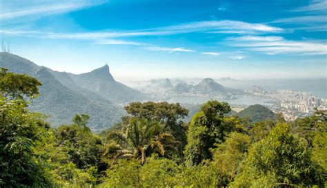 Nationalpark Tijuca In Rio De Janeiro