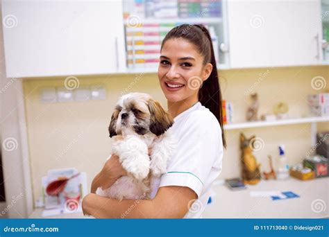 Veterinarian Holding Little Dog At Pet Ambulance Stock Photo Image Of