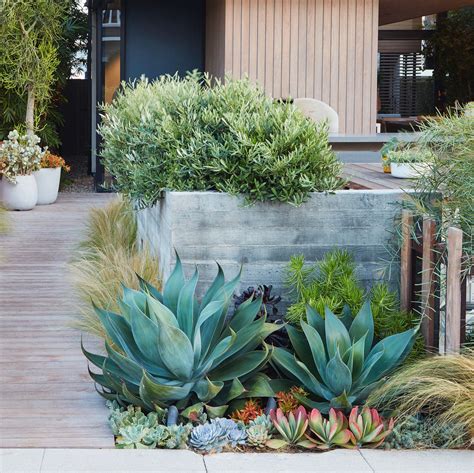 Low Water Landscapes 8 Ideas For Dry Gardens From Designer Daniel