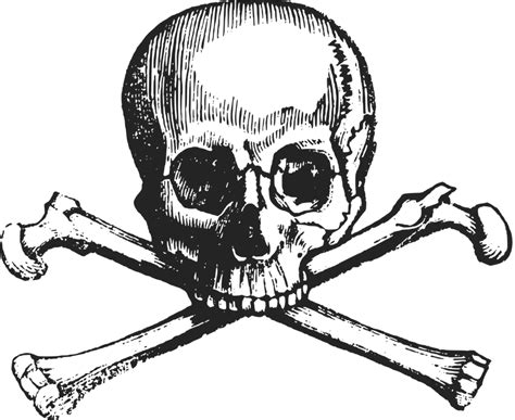 Crossbones Skull Death · Free vector graphic on Pixabay