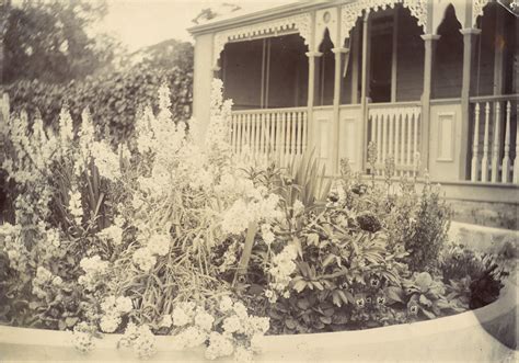 Photographs Of Front Garden At Forest Hill Sandford