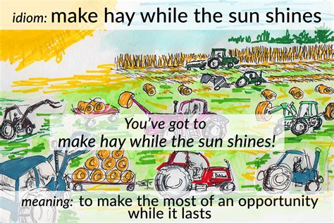 Idiom Make Hay While The Sun Shines Funky English