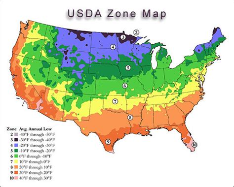 Usda Plant Hardiness Zones