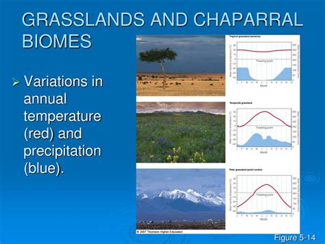 Ppt Biomes Climate And Life On Land Powerpoint Presentation Free