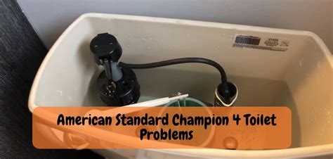 Which American Standard Toilet Flushes Golf Balls