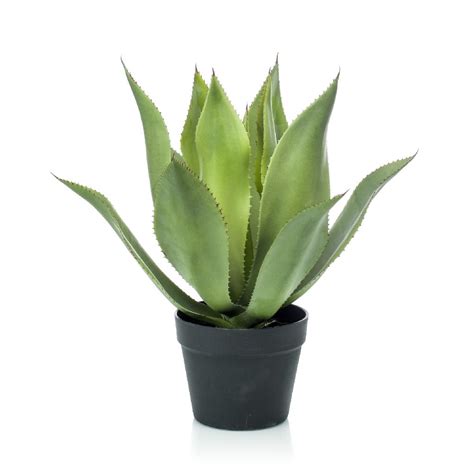 This mop is suitable for use in home. Artificial Agave Green 45cm - Potted Plant - £35.99 ...