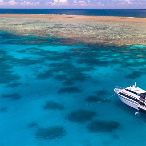 Liveaboard Archives Great Barrier Reef Dive Trips