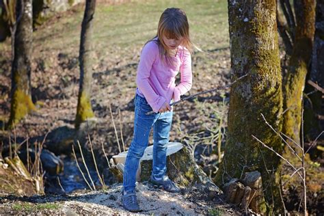 무료 이미지 나무 숲 황야 보행 사람들 소녀 꼬리 놀이 봄 가을 어린이 인간의 시즌 금발 삼림지