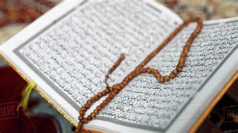 خَيْرُكُمْ مَنْ تَعَلَّمَ الْقُرْآنَ وَعَلَّمَهُ. Ketahuilah, 10 Keutaman Membaca Al Quran di Bulan Ramadhan ...