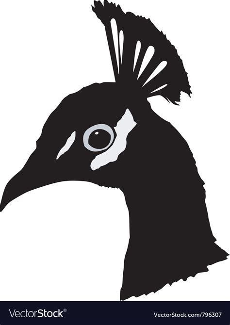 Black Silhouette Peacock Royalty Free Vector Image