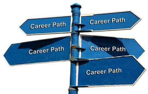 Strategies For Identifying Your Ideal Career Path Communal Business