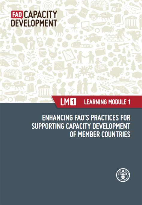 Fao Sfm Tool Detail Enhancing Faos Practices For Supporting