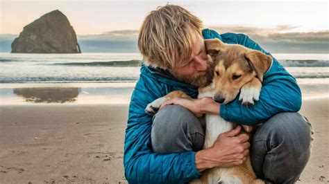 This Memoir Perfectly Captures Human Canine Love Dog Films Dog