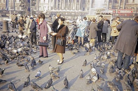 Feeding The Pigeons On Londons Trafalgar Square In 1967 Flashbak