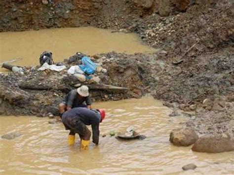 Perú Fiebre Del Oro Provoca Desborde De La Minería Ilegal Por Casi