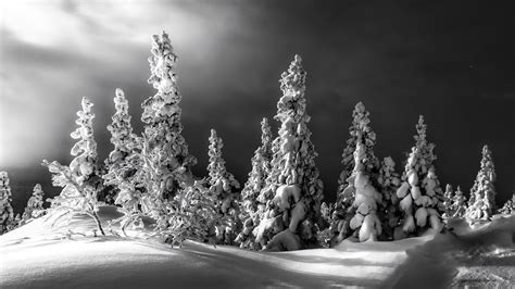 Black And White Picture Of Snow Covered Landscape And