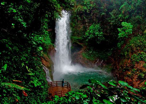 Waterfall Garden Park Costa Rica Wards Logbook Miniaturas