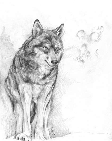 Wolf Moon By Mayshing On Deviantart