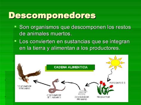 Cadena Alimentaria