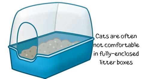 The Ecology Of Litter Boxes