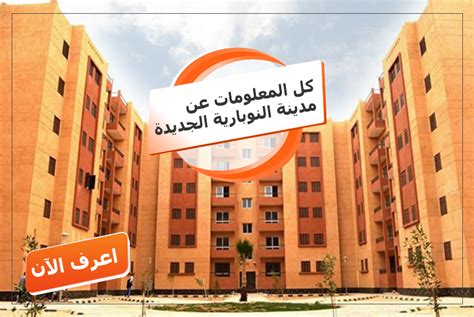 «مزودة بشاشات lcd وكاميرات وممر آمن» (صور). سموحة الجديدة - Ø´Ù‚Ù‚ Ù„Ù„Ø¨ÙŠØ¹ Ù Ù‰ Ø³Ù…ÙˆØ­Ø© Ø§Ù„Ø¬Ø ...