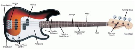 Bass Guitar Buying Guide
